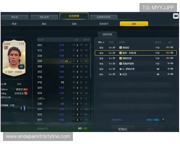 华球线上网址下载官方推荐，保障游戏安全与最新版本的优质体验